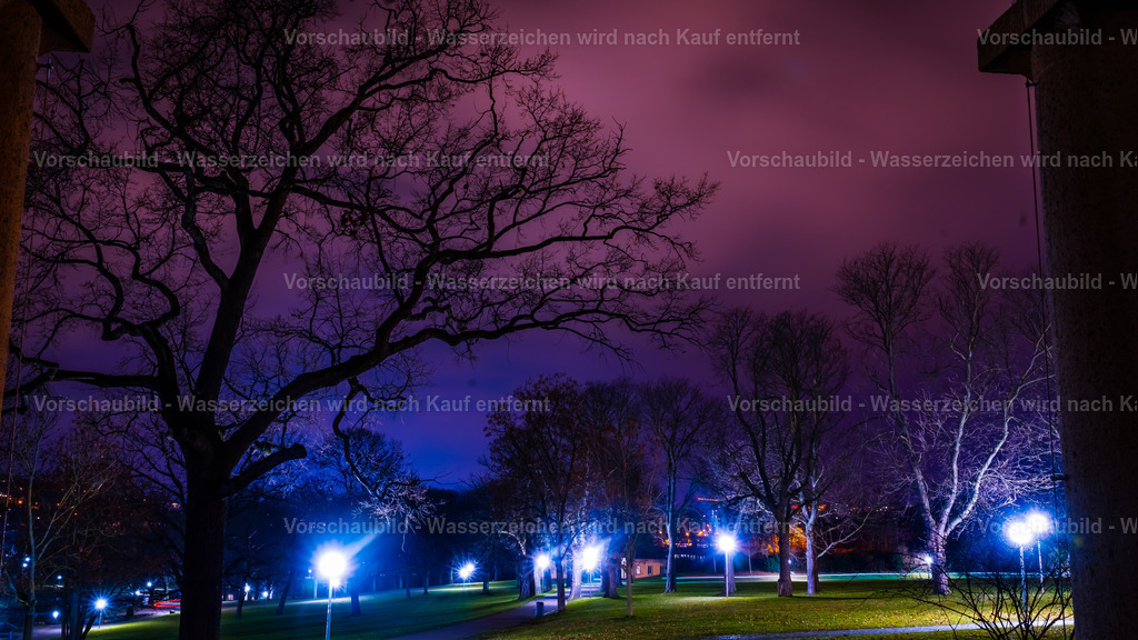 DSC06242 | marcuslinek