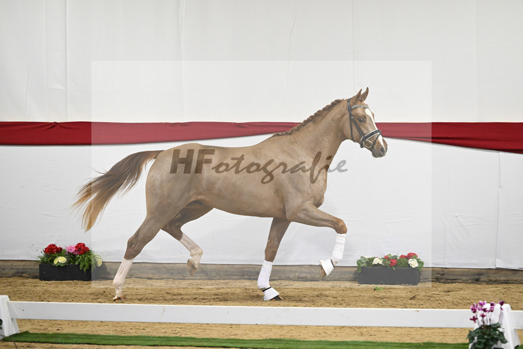 Kat-Nr. 48 v. Danone I_Mueller_63221251 | hf-fotografie - Realizzato con Pictrs.com