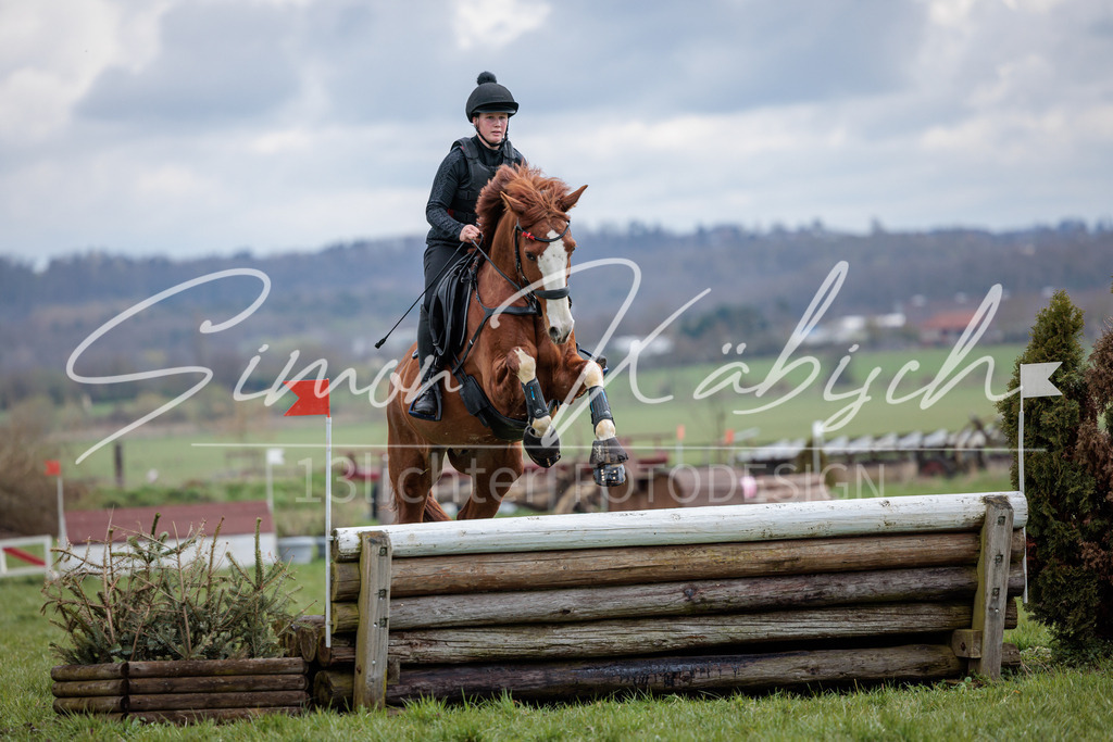 20260329-_3LI5202 | Tierfotografie Pferde, Hunde, Katzen, Haustiere.
Turnierfotografie Reitturniere, Reiten, Springreiten, Dressur in Hanau, dem Main-Kinzig-Kreis und dem Rhein-Main- Gebiet um Frankfurt