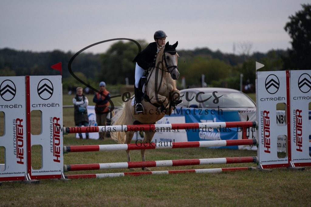 A7V07977 | Pferdefotograf