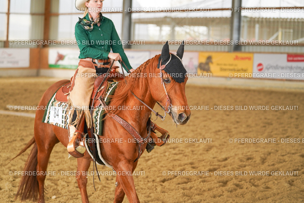 DSC04634 | Pferdegrafie