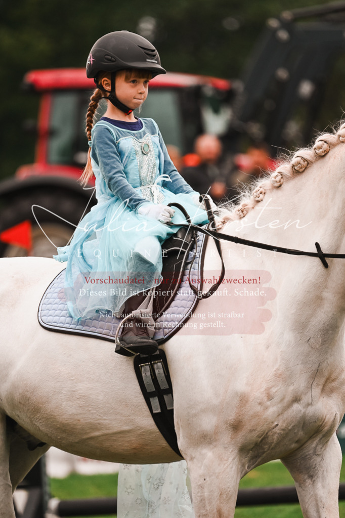 DSC_7442 | Pferde- und Turnierfotografie in Westsachsen. Pferdeportraits, Auftragszeichnungen und intuitive Kunst.