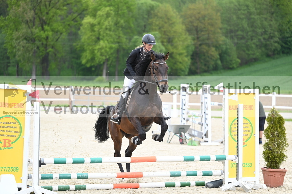 DSC_2019 | equestrian-live-com