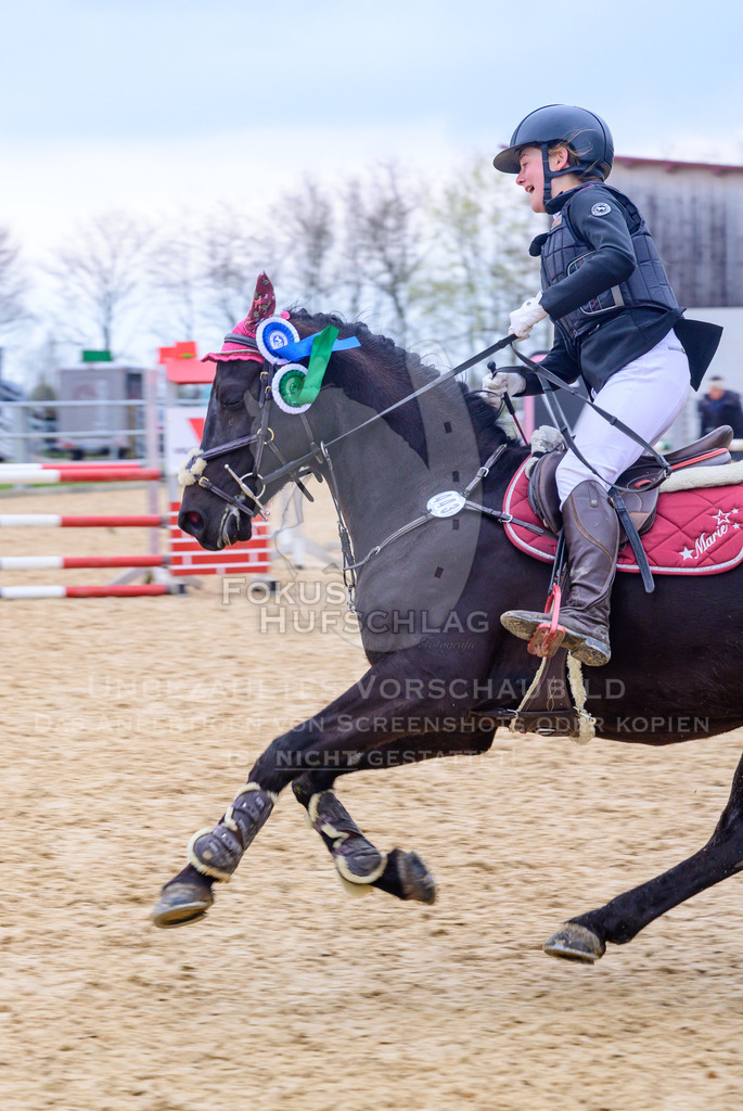 10042026-Mammendorf-Prfg16-0725 | Fokus Hufschlag Fotografie - Realisiert mit Pictrs.com