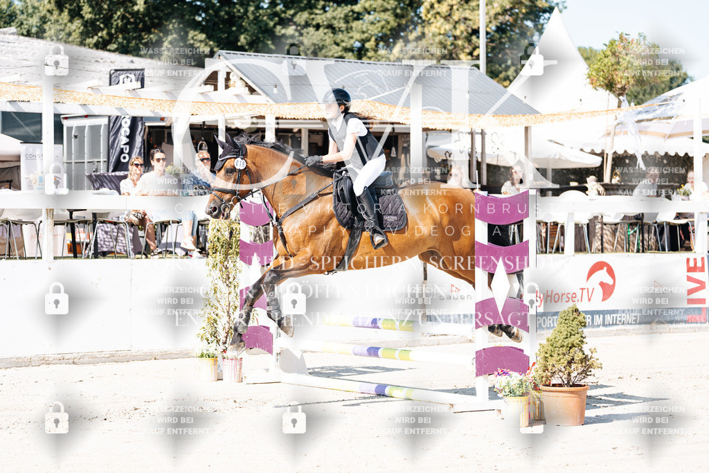 CK905149 | Turnierfotografie Pferdefotografie Trier Rheinland-Pfalz Pferdesport Reitsport Tierfotografie Sportfotografie Pferdevideo Pferdevideografie Equestrianvideography equestrianphotography  - Realisiert mit Pictrs.com