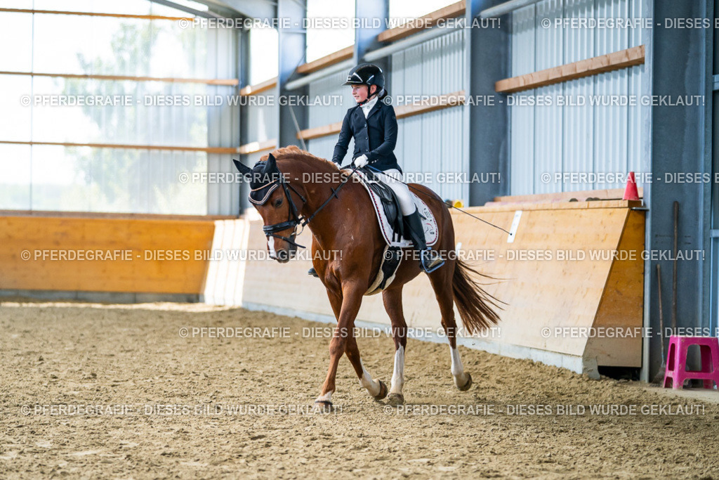 DSC05246 | Pferdegrafie