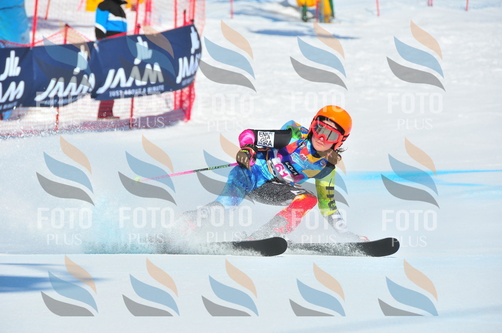 DSC_4200 | holidayphoto