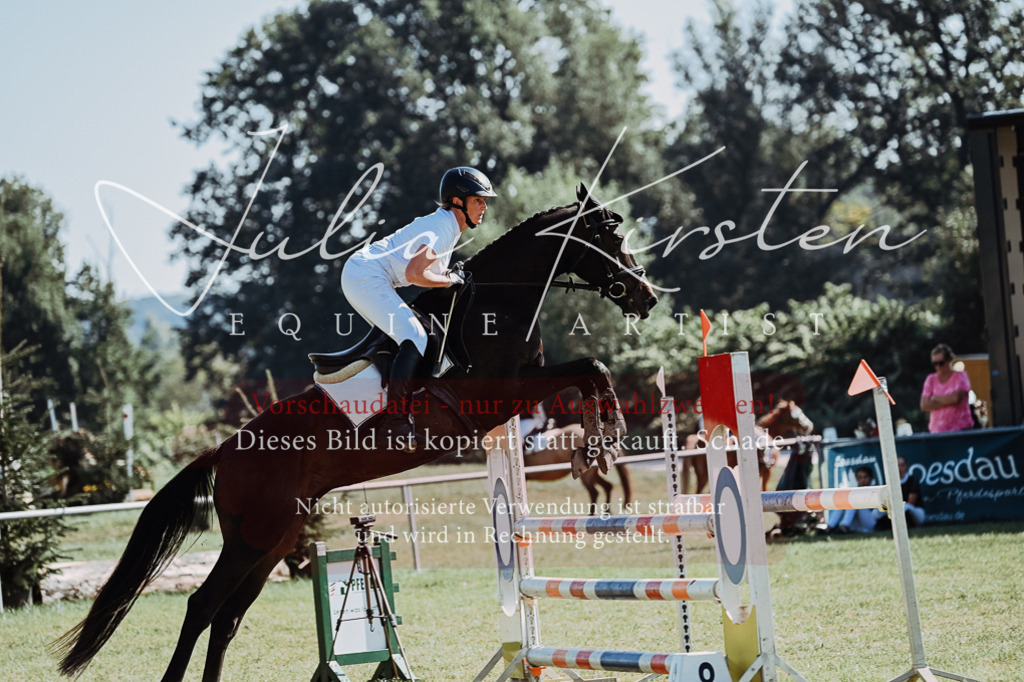 DSC_5692 | Pferde- und Turnierfotografie in Westsachsen. Pferdeportraits, Auftragszeichnungen und intuitive Kunst.