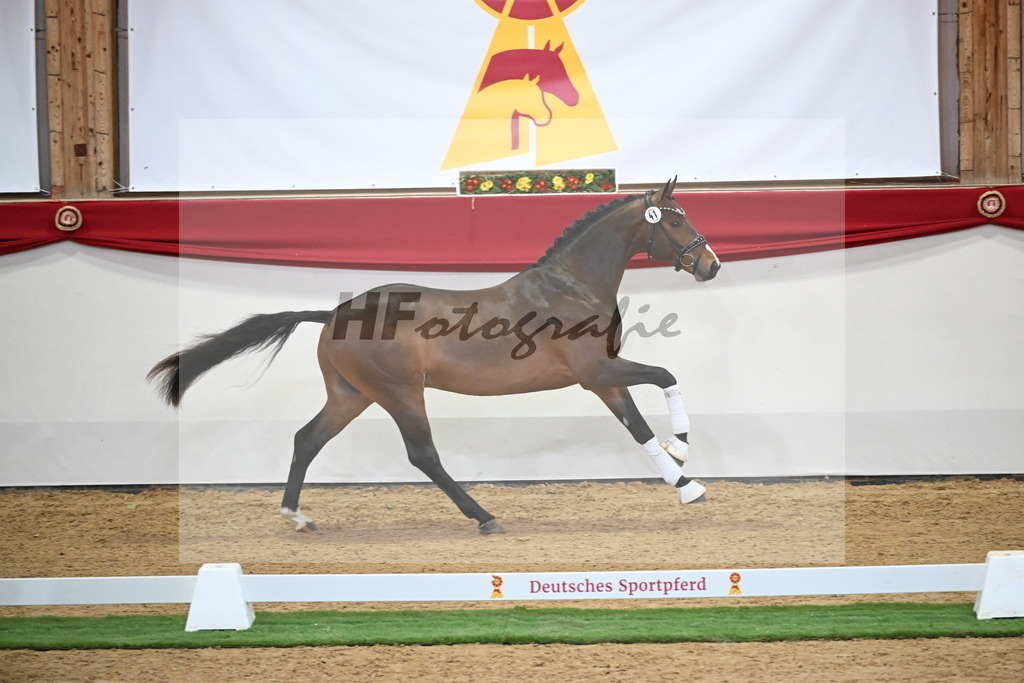 Kat.-Nr. 41 v. Baccardi_s Best_Beckmann_2250013 | hf-fotografie - Realisiert mit Pictrs.com