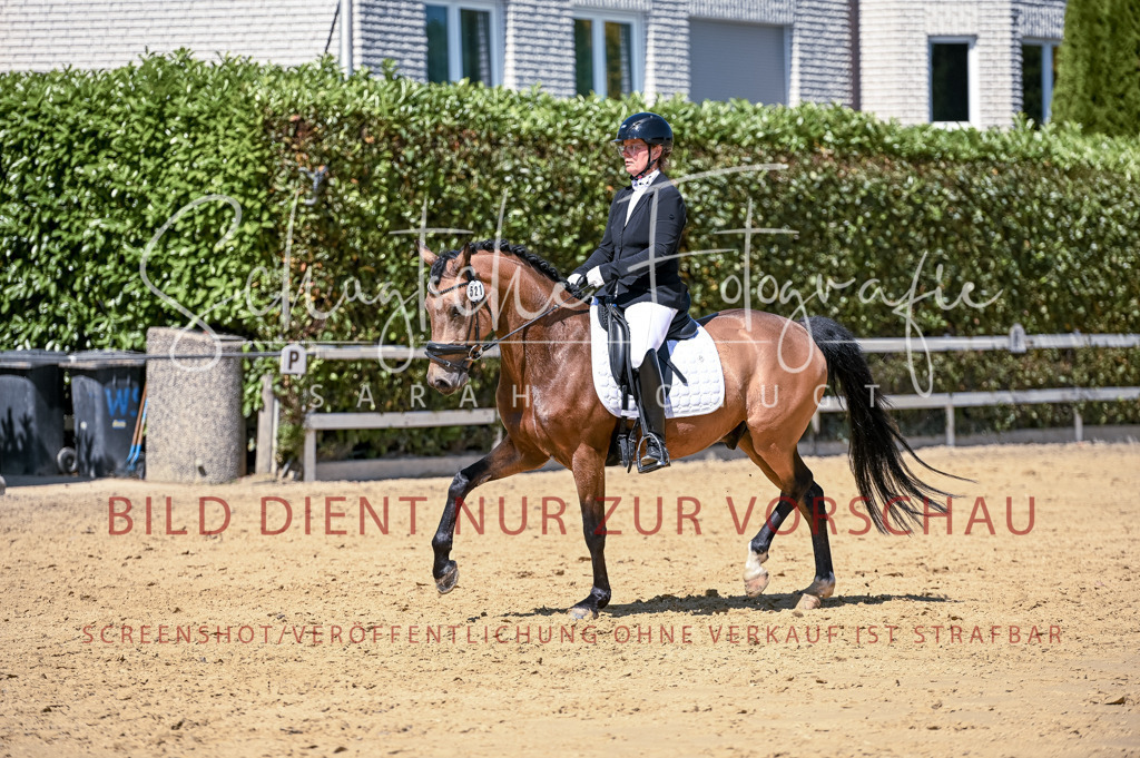 Schugtsche-Aluta25-49.Dressurpferdeprf.A-430 | Schugtsche Fotografie - Realisiert mit Pictrs.com