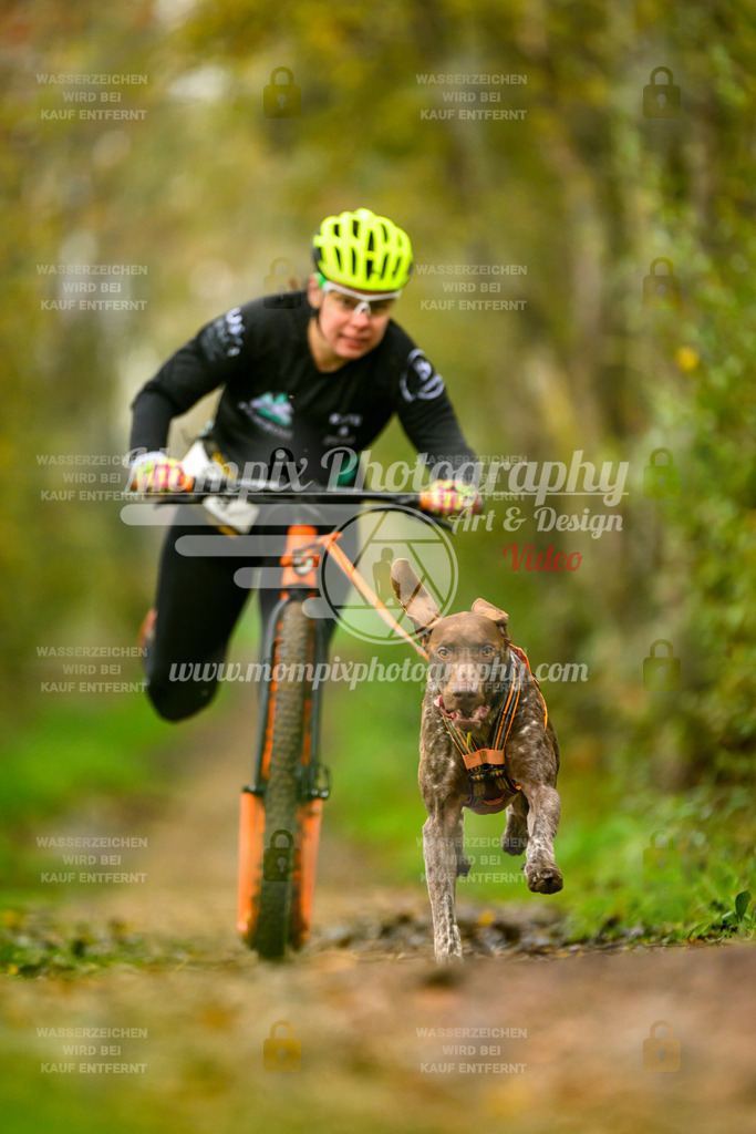 MompixPhotography_20TSB_E6_DS1-40 | PayLife