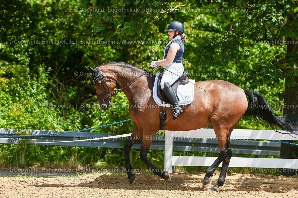 20230715_05_Dressurprüfung Kl.A++_0430 | equistock