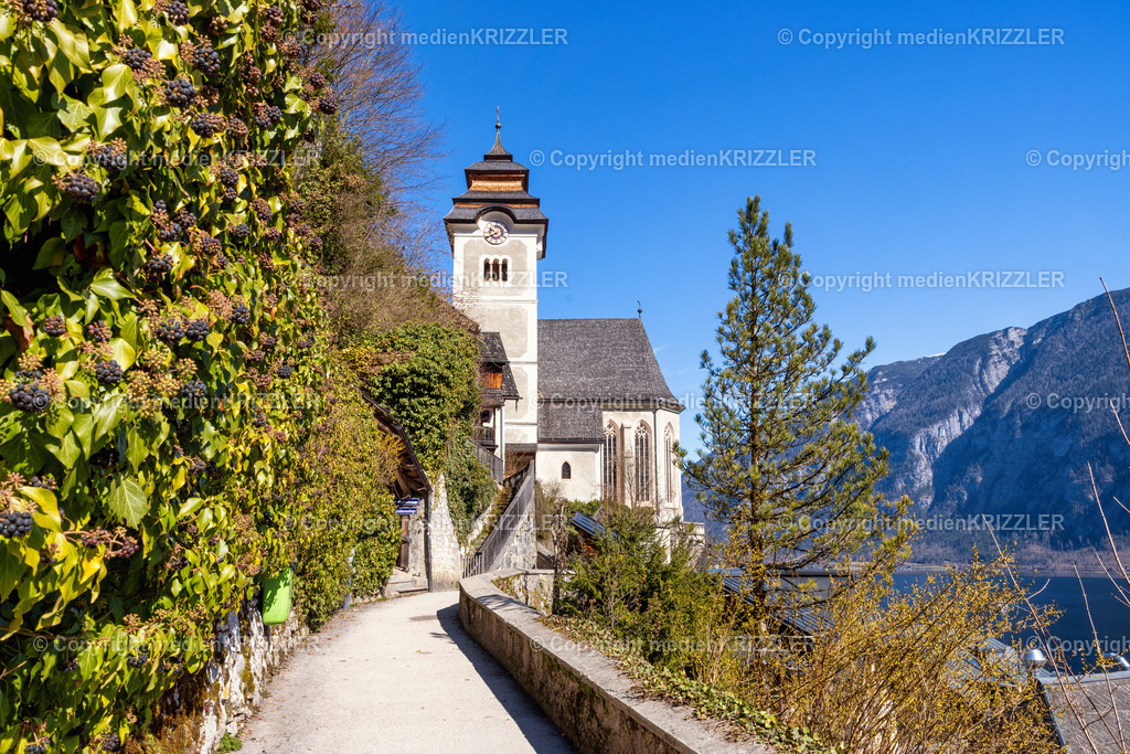 _J3A8587 | medienkrizzler - Realisiert mit Pictrs.com