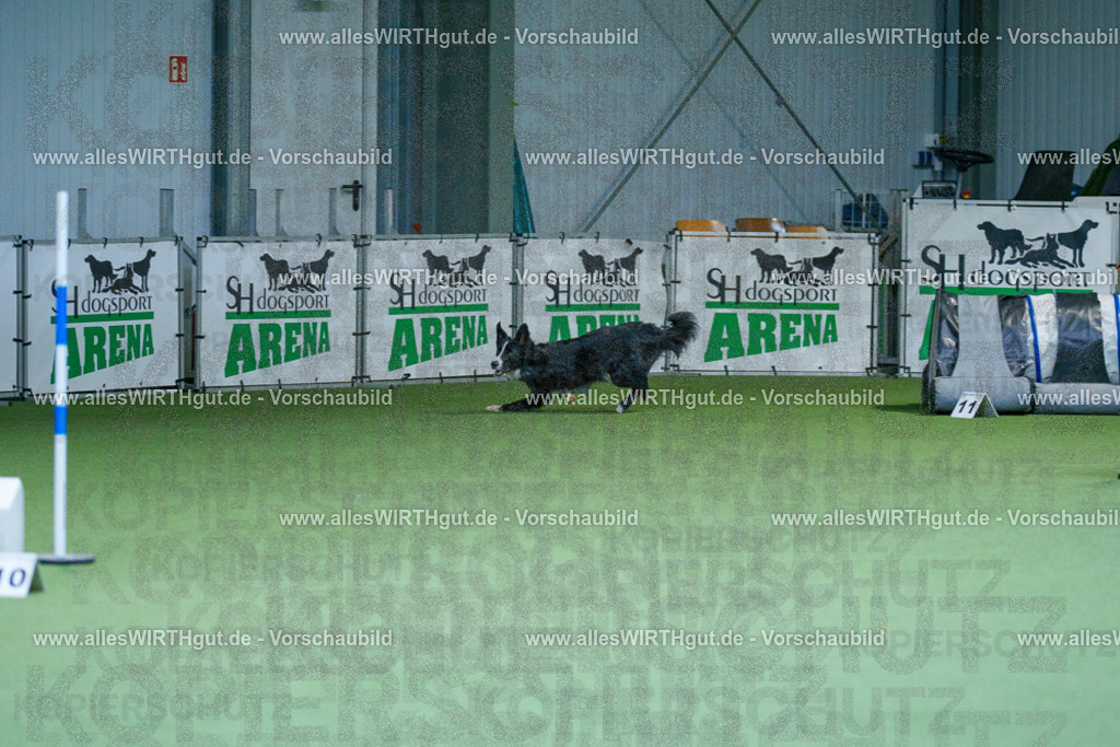 @allesWIRTHgut_Tierfotografie - www.allesWIRTHgut.de - 2604260809-7R506748 | Professionelle Tierfotografie in Mönchengladbach von Daniel Wirth (allesWIRTHgut). Liebevolle & natürliche Bilder von Hunden & Katzen für unvergessliche Erinnerungen.