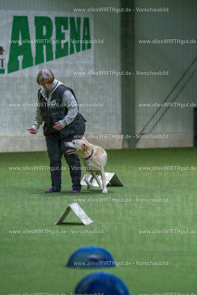7R506325 | Professionelle Tierfotografie in Mönchengladbach von Daniel Wirth (allesWIRTHgut). Liebevolle & natürliche Bilder von Hunden & Katzen für unvergessliche Erinnerungen.