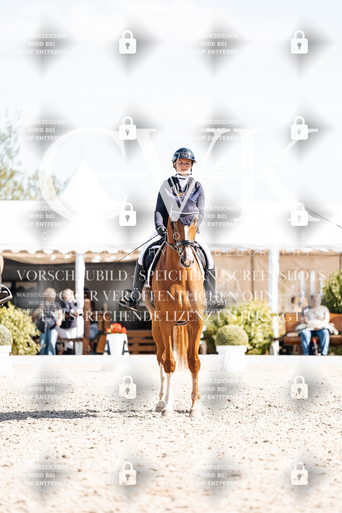 CK903143 | Turnierfotografie Pferdefotografie Trier Rheinland-Pfalz Pferdesport Reitsport Tierfotografie Sportfotografie Pferdevideo Pferdevideografie Equestrianvideography equestrianphotography  - Realisiert mit Pictrs.com