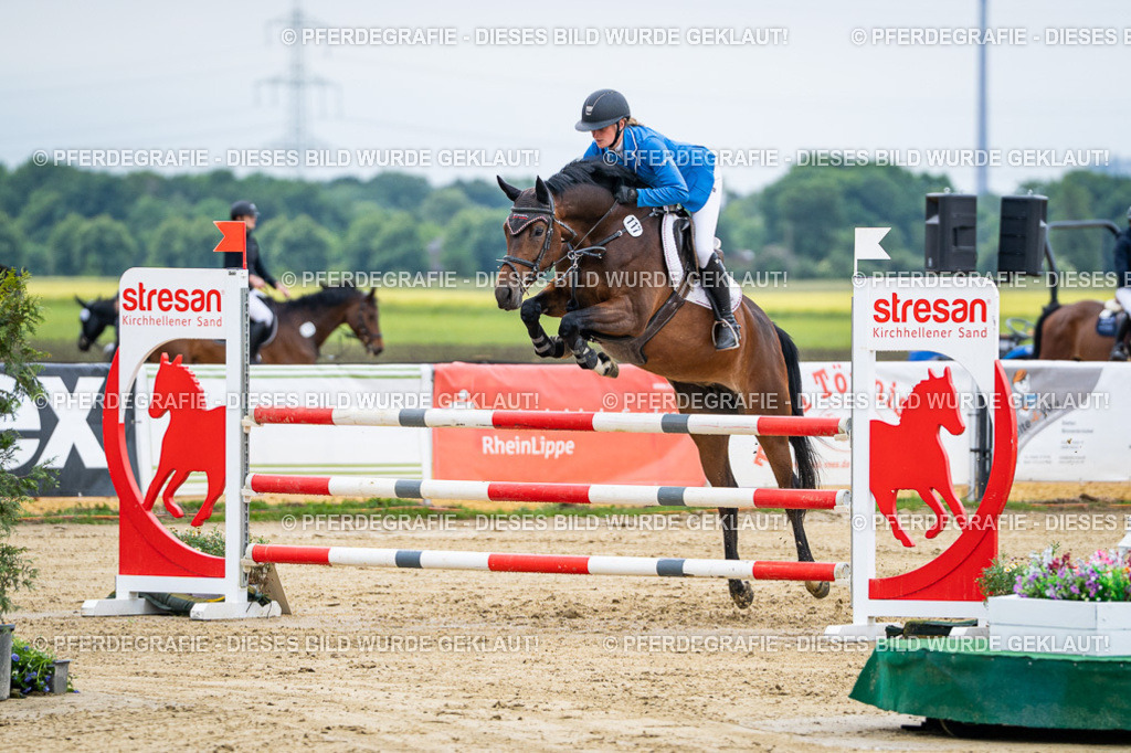 DSC04746 | Pferdegrafie