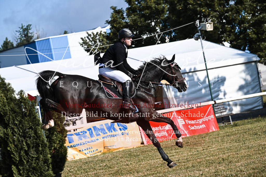 DSC_7522 | Pferde- und Turnierfotografie in Westsachsen. Pferdeportraits, Auftragszeichnungen und intuitive Kunst.