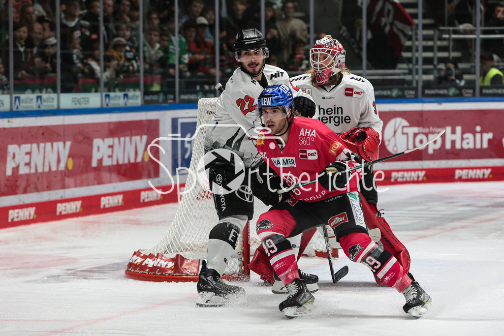 Augsburger Panther - Koelner Haie  | Professionelle Sportfotos aus den Bereichen Fußball, Eishockey, Handball und vieles mehr. Ob Sieg oder Niederlage