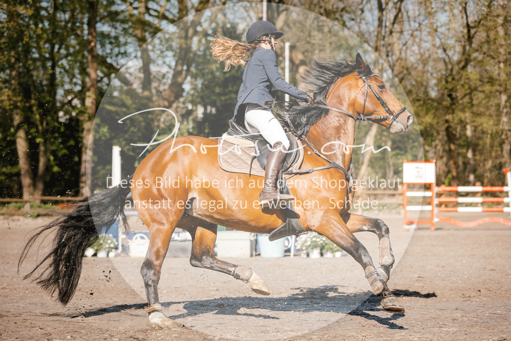 3I6A3742 | Stimmungsvolle Portraits und Reitsportfotografie im Ruhrgebiet und im Münsterland.

Pferdefotografie, Hundefotografie, Tierfotografie, Reportagen, Portraits von Tier und Mensch, Turnierfotografie in Bochum, Recklinghausen, Marl, Haltern am See, Dülmen.. - Realisiert mit Pictrs.com