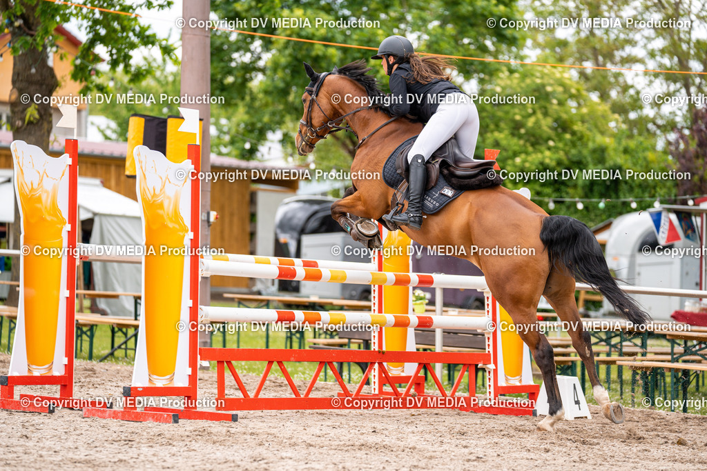 Eppelheim Tag 1-099 | dv-media-shop - Realisiert mit Pictrs.com