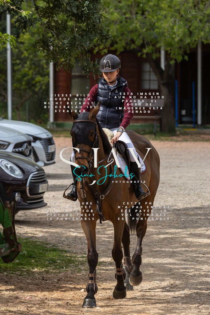 IMG_4860 | s-jay-photography - Realisiert mit Pictrs.com