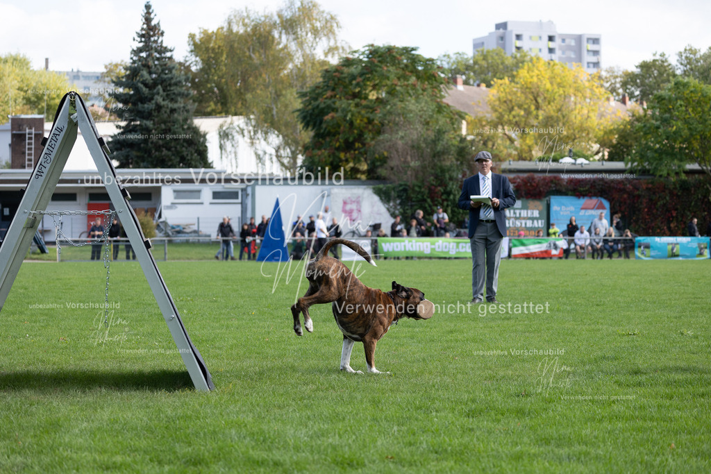 _16A5326 | Einzigartige Fotos von Hunden & Menschen –Actionfotos, Portraits, Vereinsaufnahmen & Paarshootings – authentisch, lebendig & mit Herz.