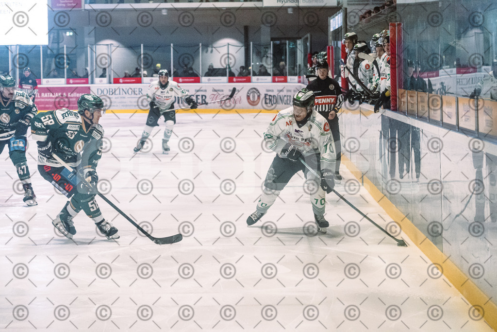 Erding_vs_Alligators_02_01_2026-57 | Höchstadt Alligators Fotogalerie: Eishockey-Action aus Franken. Professionelle Spielfotos, Portraits & Stadionbilder zum Download. Jetzt entdecken! - Realisiert mit Pictrs.com