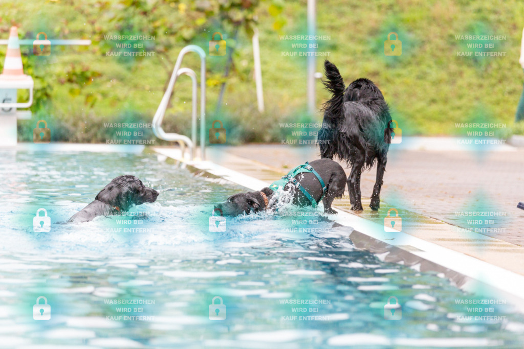 _HP_7309_1000o | HetPix, HetPix Fotodesign, Fotografie, Fotodesign, Webshop, Sportfotografie, Portraitfotografie, Onlineshop, Sportfotografie, Polch, Motorsportfotografie, Eventfotografie