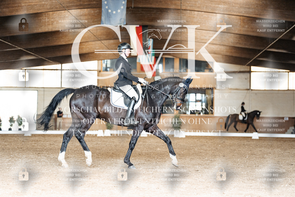 CK901835 | Turnierfotografie Pferdefotografie Trier Rheinland-Pfalz Pferdesport Reitsport Tierfotografie Sportfotografie Pferdevideo Pferdevideografie Equestrianvideography equestrianphotography  - Realisiert mit Pictrs.com