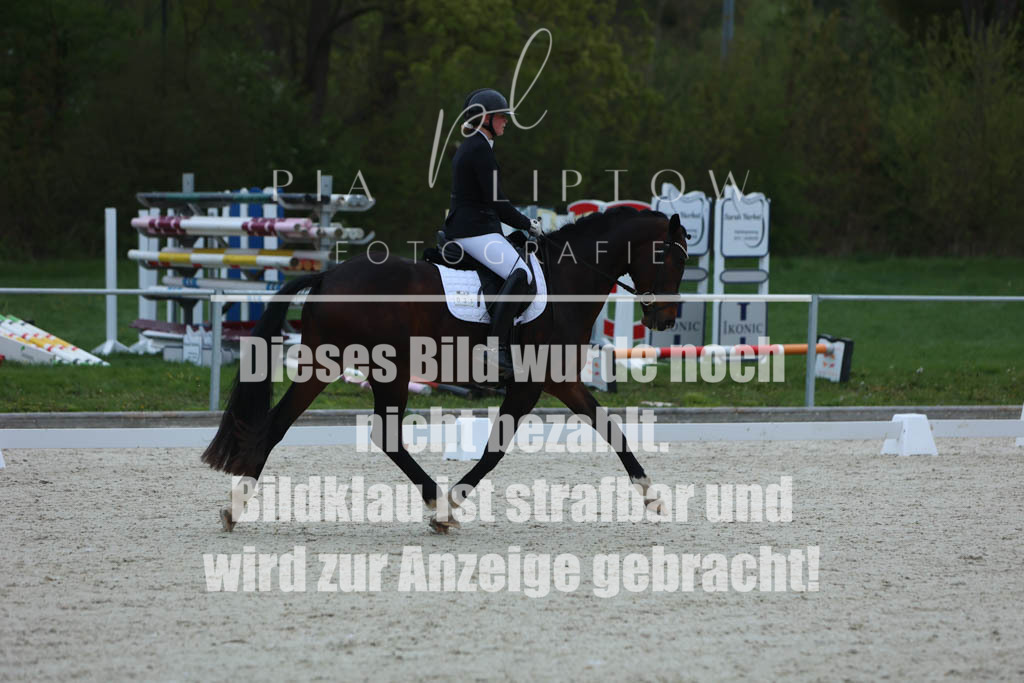 IMGM5931 | pl-fotografie