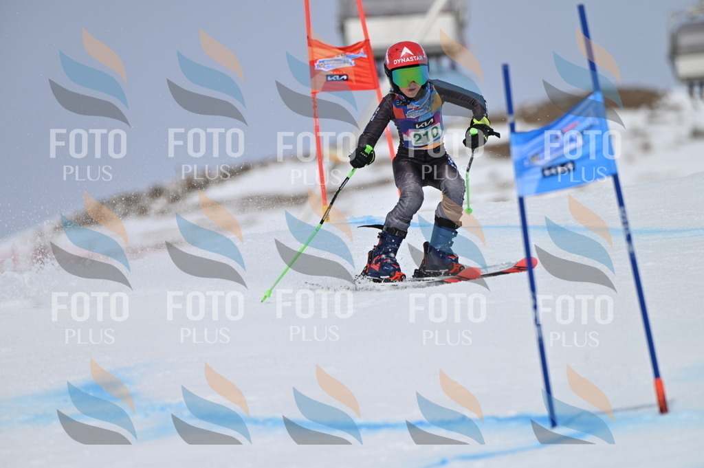 BGV_4059 | holidayphoto