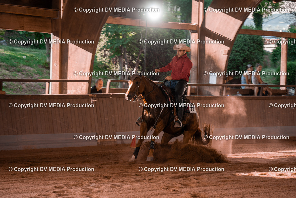 NE201316 | dv-media-shop - Realisiert mit Pictrs.com