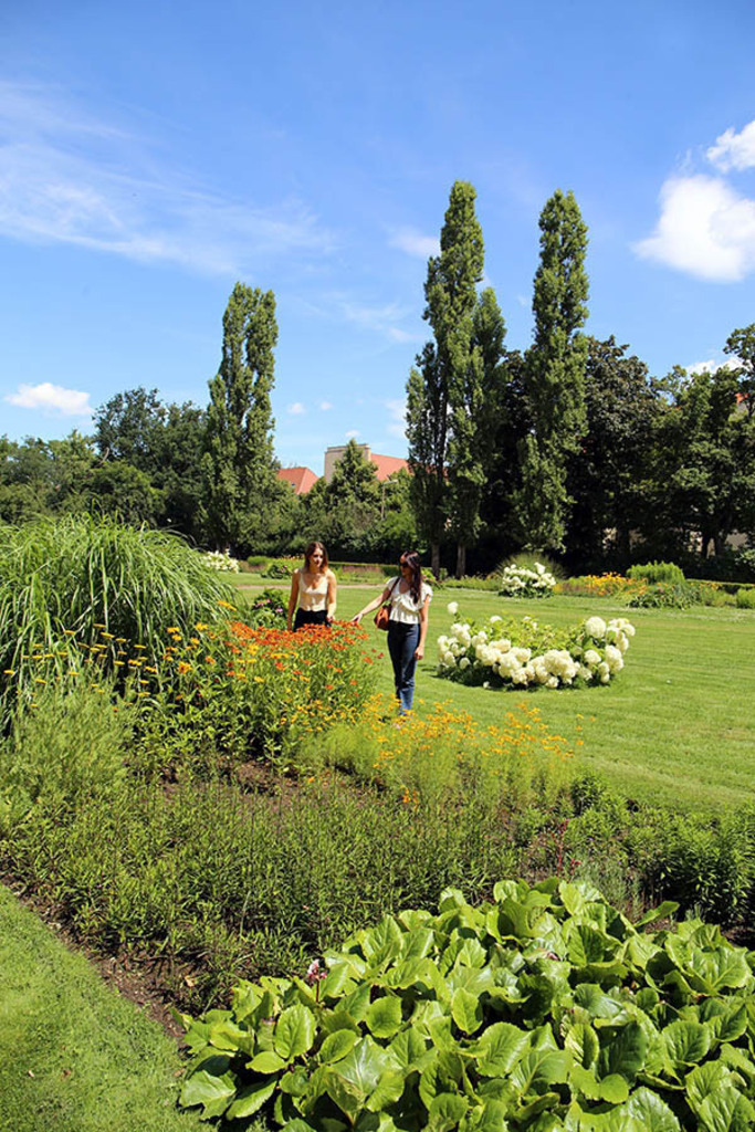 Mariannenpark - Staudengarten | Entdecke über 20 Kategorien Leipzig-Motive: Foto-Downloads, hochwertige Poster, Leinwand- & Fine-Art-Prints. Jetzt Lieblingsfoto im Bildlexikon Leipzig Shop bestellen!