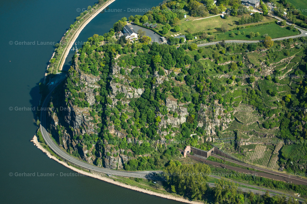 3490486 | Loreley am Rhein