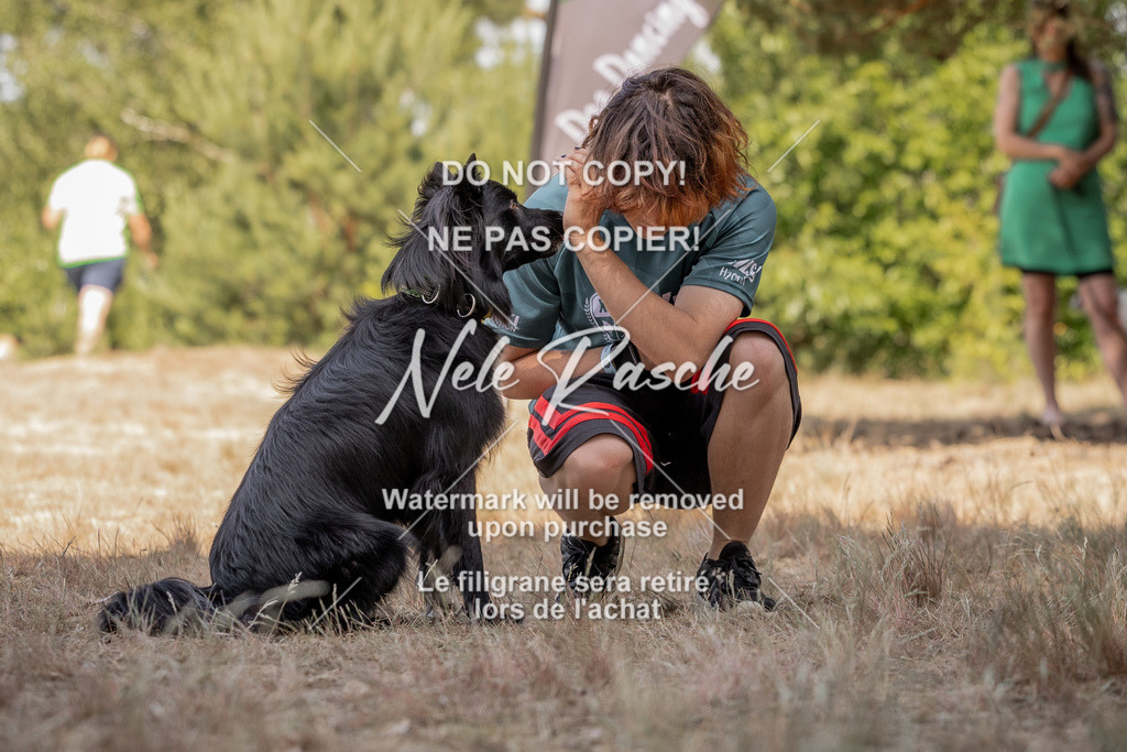 nelerasche_soDD2_323 | nelerasche