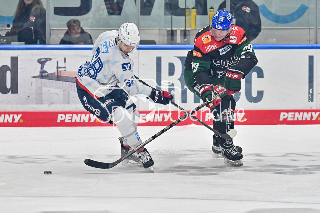 Augsburger Panther - Adler Mannheim | im Duell Fabrizio PILU (Adler Mannheim 68) und Denis REUL (Augsburger Panther #29) / Zweikampf / DEL: Augsburger Panther - Adler Mannheim, Curt Frenzel Stadion am 26.12.2024
