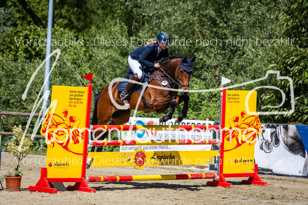 Donop24-Stil-L-005 | MomenTaufnahmen Pferdesportfotos