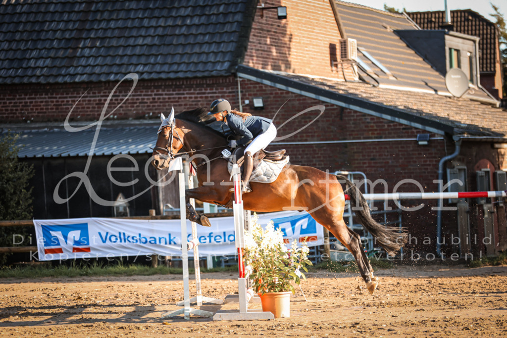 18.SoSpA100076 | Leoni Ertmer Photography - Realisiert mit Pictrs.com