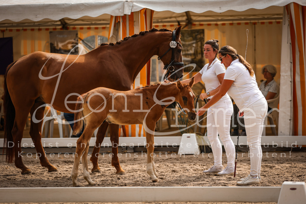 09.DoWBD00080 | Leoni Ertmer Photography - Realisiert mit Pictrs.com