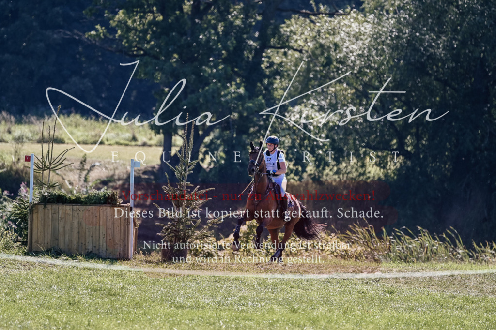 DSC_1968 | Pferde- und Turnierfotografie in Westsachsen. Pferdeportraits, Auftragszeichnungen und intuitive Kunst.