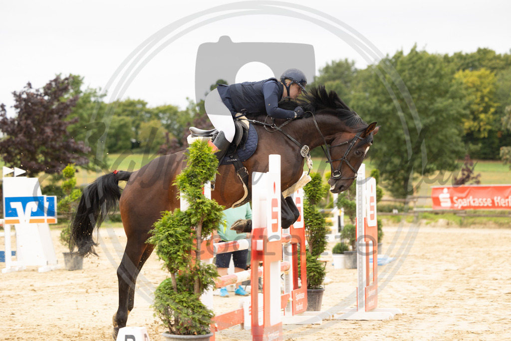 994A8986 | sabrinanicolaifotografie - Realisiert mit Pictrs.com