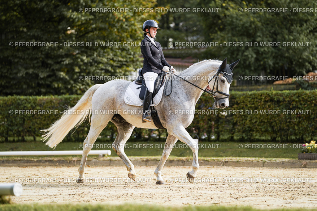 DSC04223 | Pferdegrafie