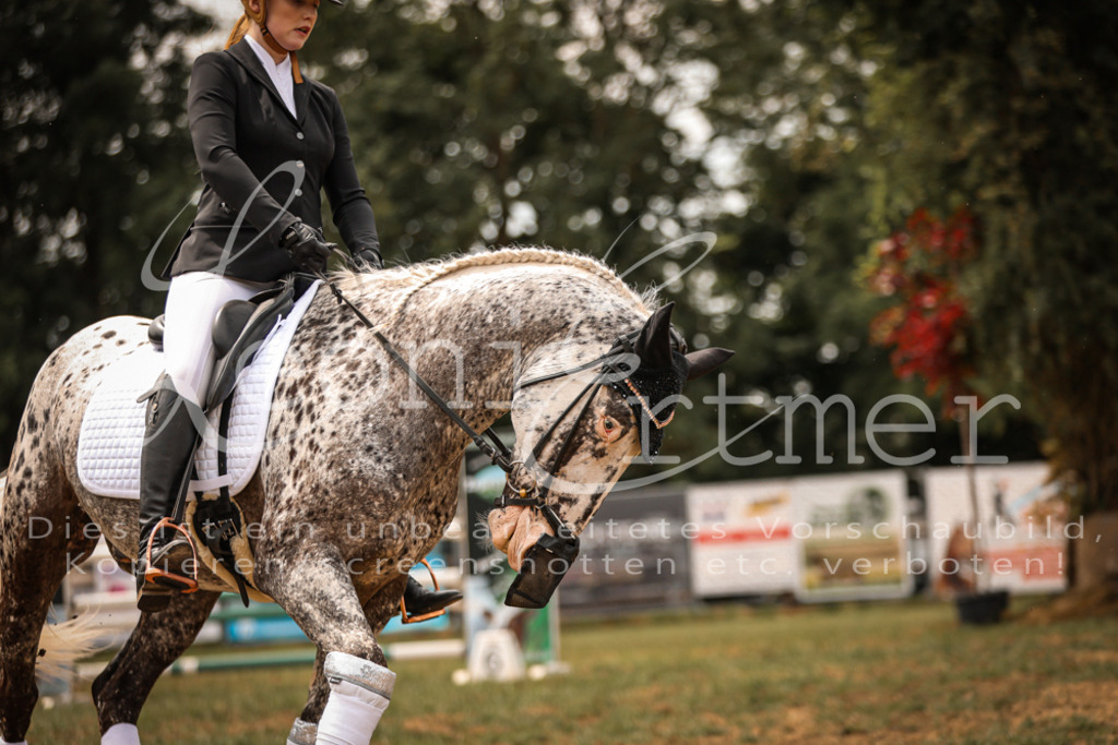 SoShow00168 | Leoni Ertmer Photography - Realisiert mit Pictrs.com