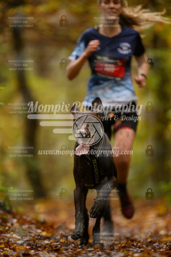 MompixPhotography_CD7S_DI_CCL-19 | mompixphotography