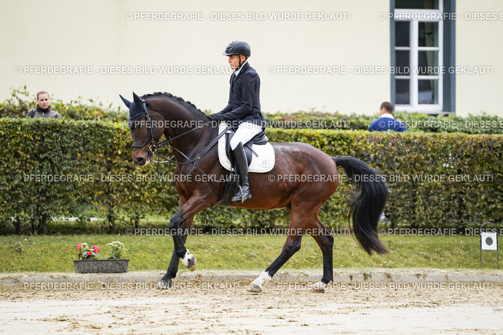 DSC04792 | Pferdegrafie