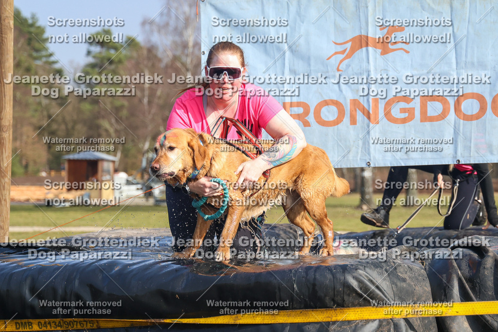 Dog Paparazzi - Strongdog North Mrz26-2801 | Dog Paparazzi Jeanette Grottendiek Fotografie & Videografie - Realisiert mit Pictrs.com