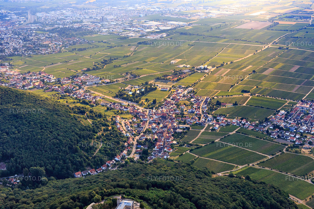 Luftbild: Ortsansicht von Westen im Ortsteil Hambach an der Weinstraße in Neustadt im Bundesland Rheinland-Pfalz in Deutschland. Foto: IMG_108841.jpg vom 15.07.2018 durch Werner Riehm/FLY-FOTO.de
