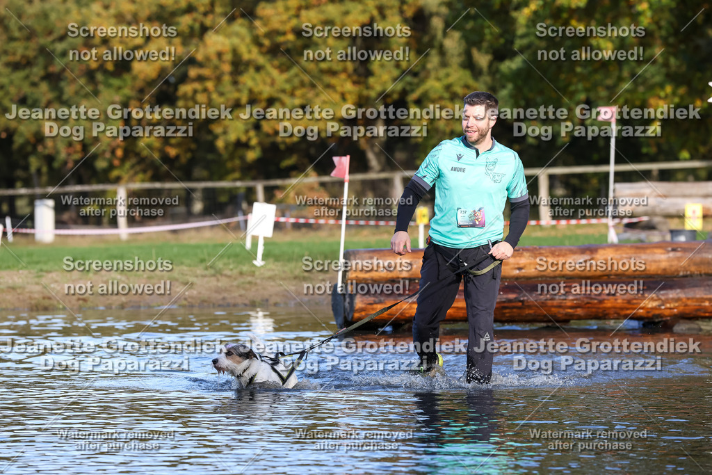 Dog Paparazzi - Strongdog 10-25-8629 | Dog Paparazzi Jeanette Grottendiek Fotografie & Videografie - Realisiert mit Pictrs.com