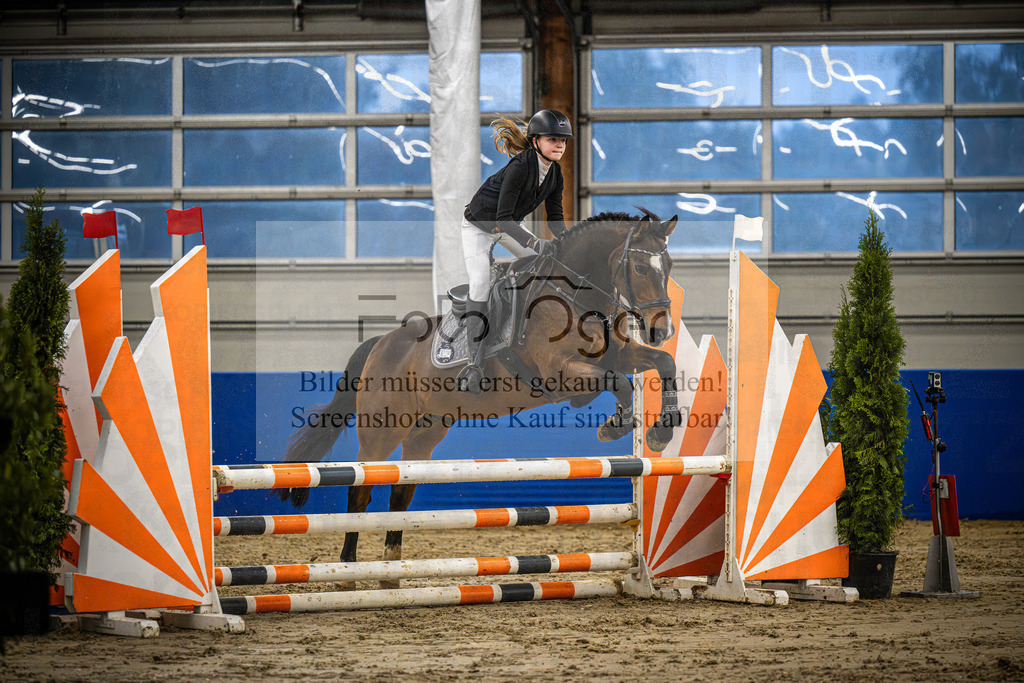 DOS_0305 | Entdecke hochwertige Reitturnierfotos von Foto Oger. Professionell, emotional und authentisch – jetzt Lieblingsmomente im Shop bestellen.Deutschlandweite Turnierfotografie. - Realisiert mit Pictrs.com
